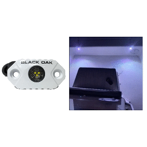 Black Oak Rock Accent Light - White LEDs - White Housing