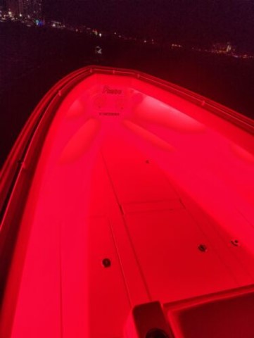 Submersible Marine LED strip lights for boats with IP68 waterproof rating SMD 5050